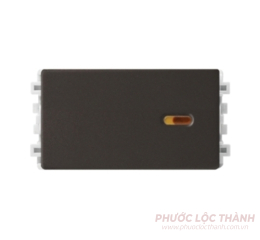 Công tắc 2 chiều size S (đồng ánh kim)