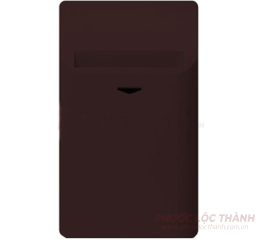 Công tắc chìa khóa thẻ (Đồng ánh kim)