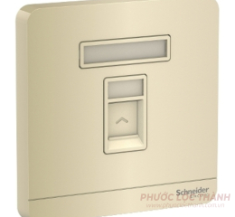 Bộ ổ cắm mạng cat5e vàng ánh kim