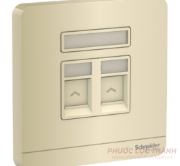 Bộ 2 ổ cắm mạng cat6 vàng ánh kim