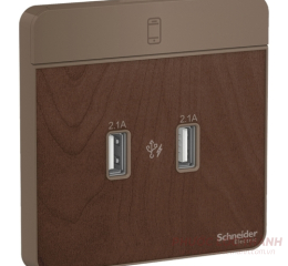 Bộ 2 ổ cắm USB 2.1A vân gỗ