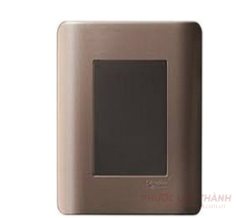 Mặt che trơn (Đồng)