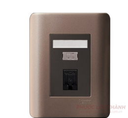 Bộ ổ cắm mạng cat5e đơn (Đồng)