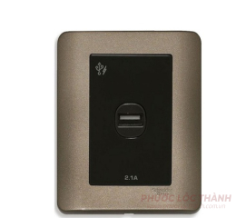 Bộ ổ sạc USB đơn 2.1A (Đồng)