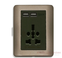 Bộ ổ cắm đa năng và sạc USB đôi (Đồng)