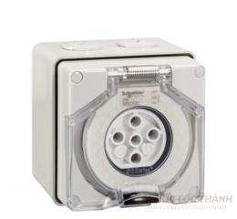 Ổ cắm 5P 20A IP66