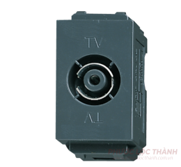 Ổ cắm anten TV xanh đen 75 Ohm