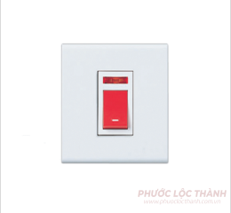 Bộ công tắc D 2 cực có đèn báo, 45A 250VAC